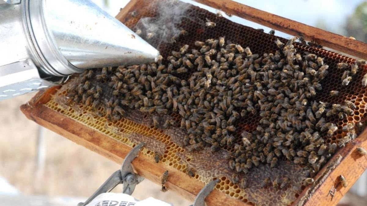 Kemik sorunları yaşayan kilo kilo alıyorlar