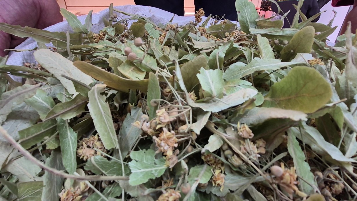 Geçen sene altınla yarışıyordu, bu yıl fiyati geriledi