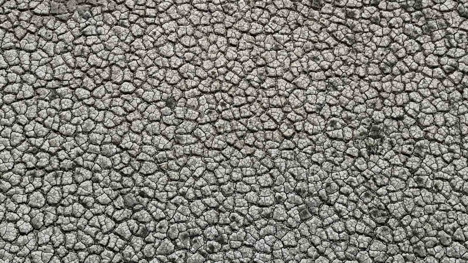 Adana Seyhan baraj gölünde sular çekildi toprak çatladı görüntüler hiç iç açıcı değil