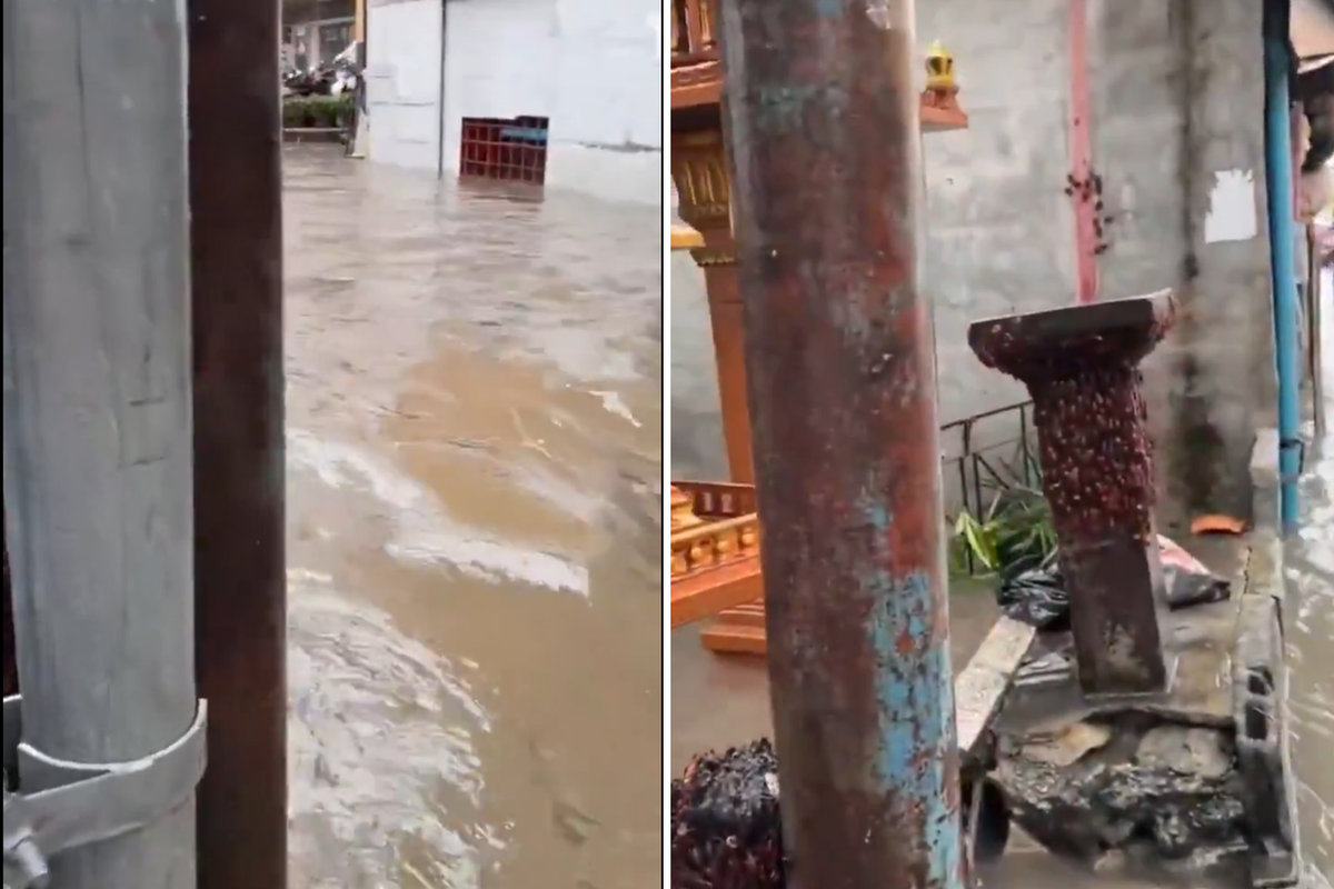 Tayland'da kabus görüntüleri Sel suları binlerce hamam böceğini sokağa getirdi?