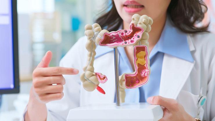 Unutkanlık, yüksek şeker tüketimi ve beyin sağlığı! İşte bağırsaklara cok iyi gelen püf noktalar